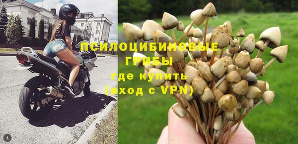 бошки Абинск