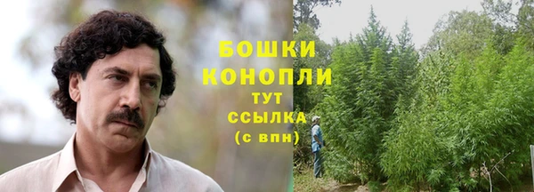 бошки Абинск