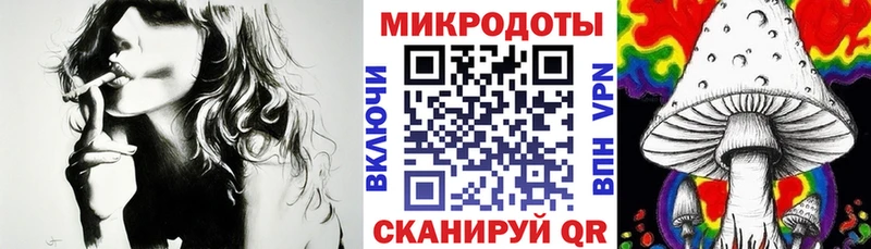 Псилоцибиновые грибы Psilocybe Хабаровск
